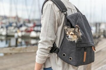 Hondenrugzakken voor wandelingen en tochten