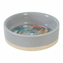 Voer- & Drinkstations – stevige, niet-morsende modellen