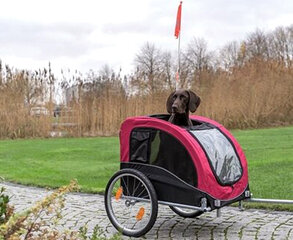 Hondenfietskarren