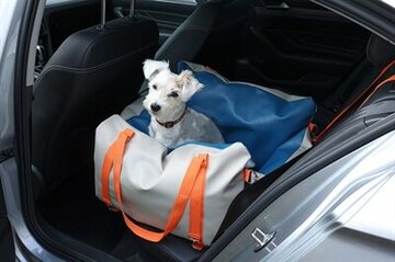 Transport