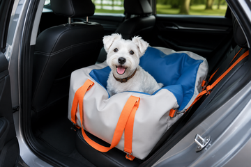 Autostoelen kleine hond