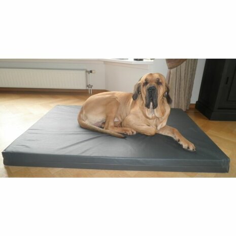 Topmast Orthopedisch Hondenbed Leatherlook antraciet