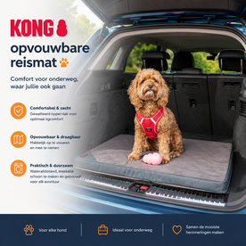 KONG REISMAT OPVOUWBAAR 92X59X6 CM