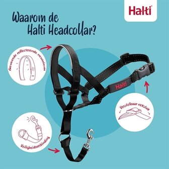 Company of animals halti headcollar zwart