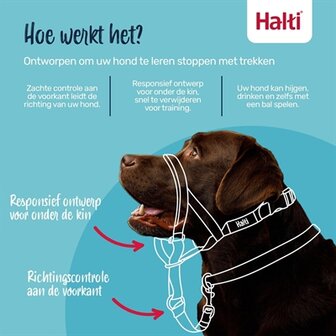 Company of animals halti headcollar zwart