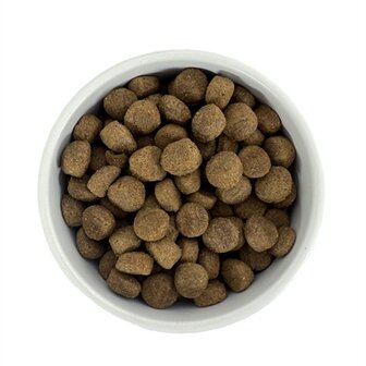 Budget premium lamb &amp; mobility