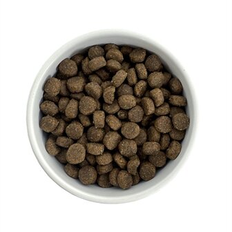 Budget premium fresh lamb