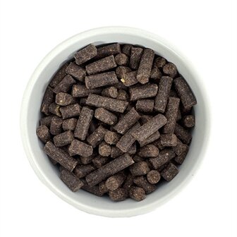 Budget premium sport