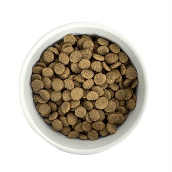 Budget premium senior light