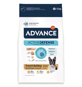 Advance adult french bulldog