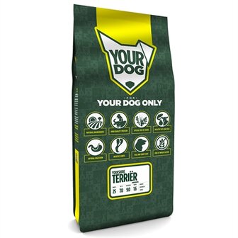 Yourdog yorkshire terri&Euml;r senior