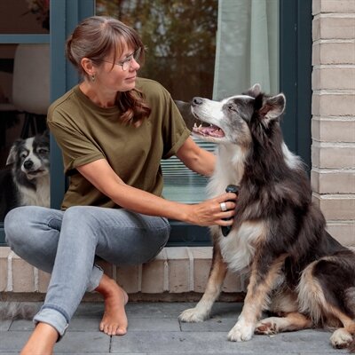 Trixie carding vachtkam ontvilten / uitdunnen