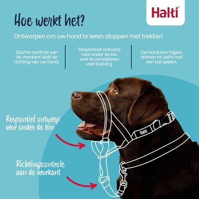 Company of animals halti headcollar zwart