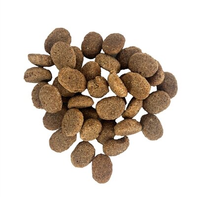 Excellent adult lam / rijst