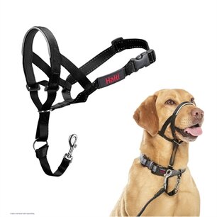 Company of animals halti headcollar zwart Company of animals halti headcollar zwart