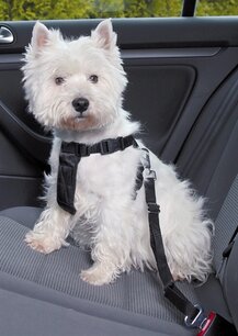 Trixie hondentuig auto inclusief gordel zwart Trixie hondentuig auto inclusief gordel zwart