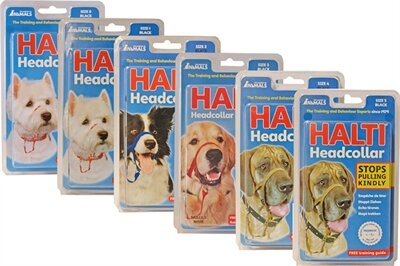 Company of animals halti headcollar zwart Company of animals halti headcollar zwart